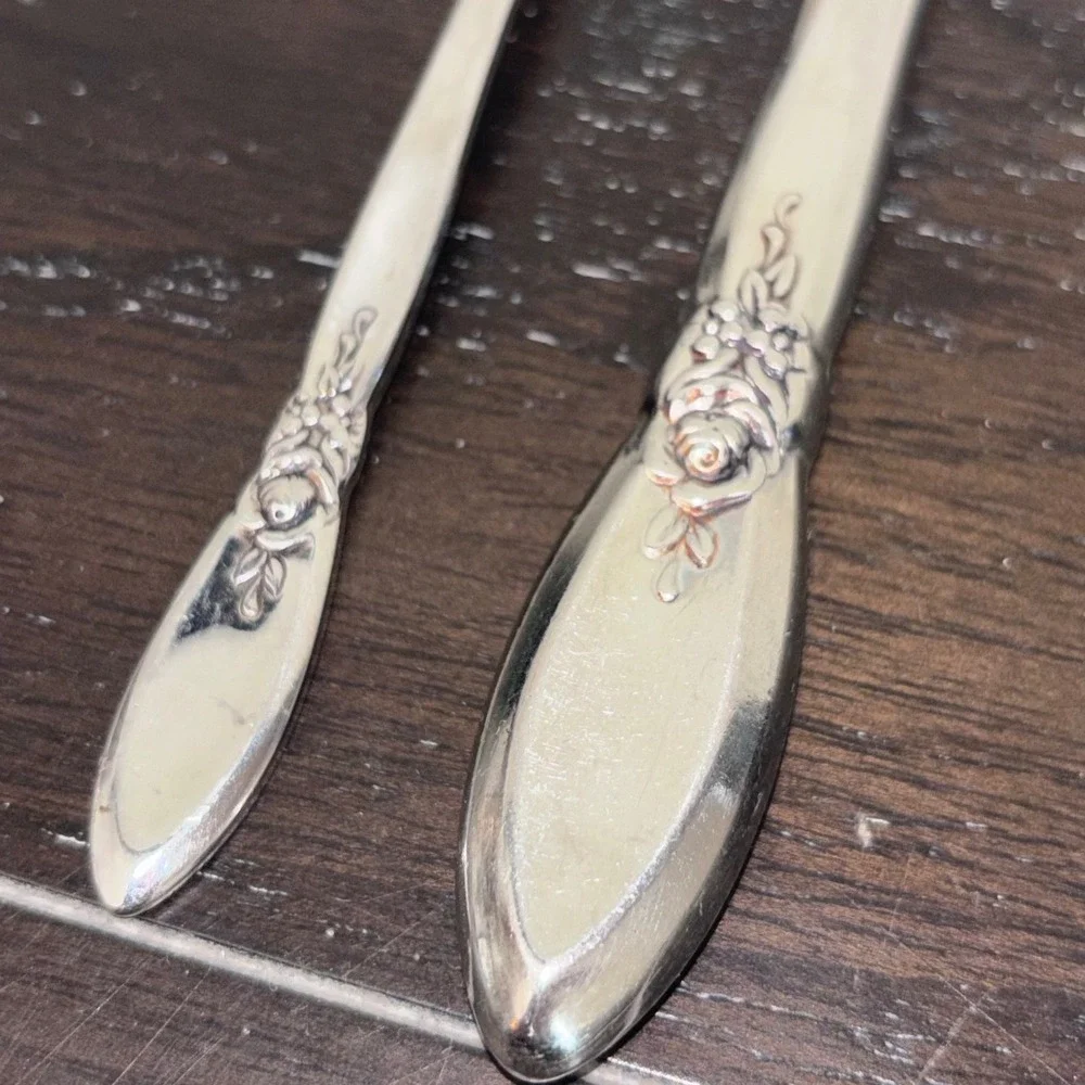 Oneida Community Stainless‎ | Morning Rose | Knife and Teaspoon | Set of 2